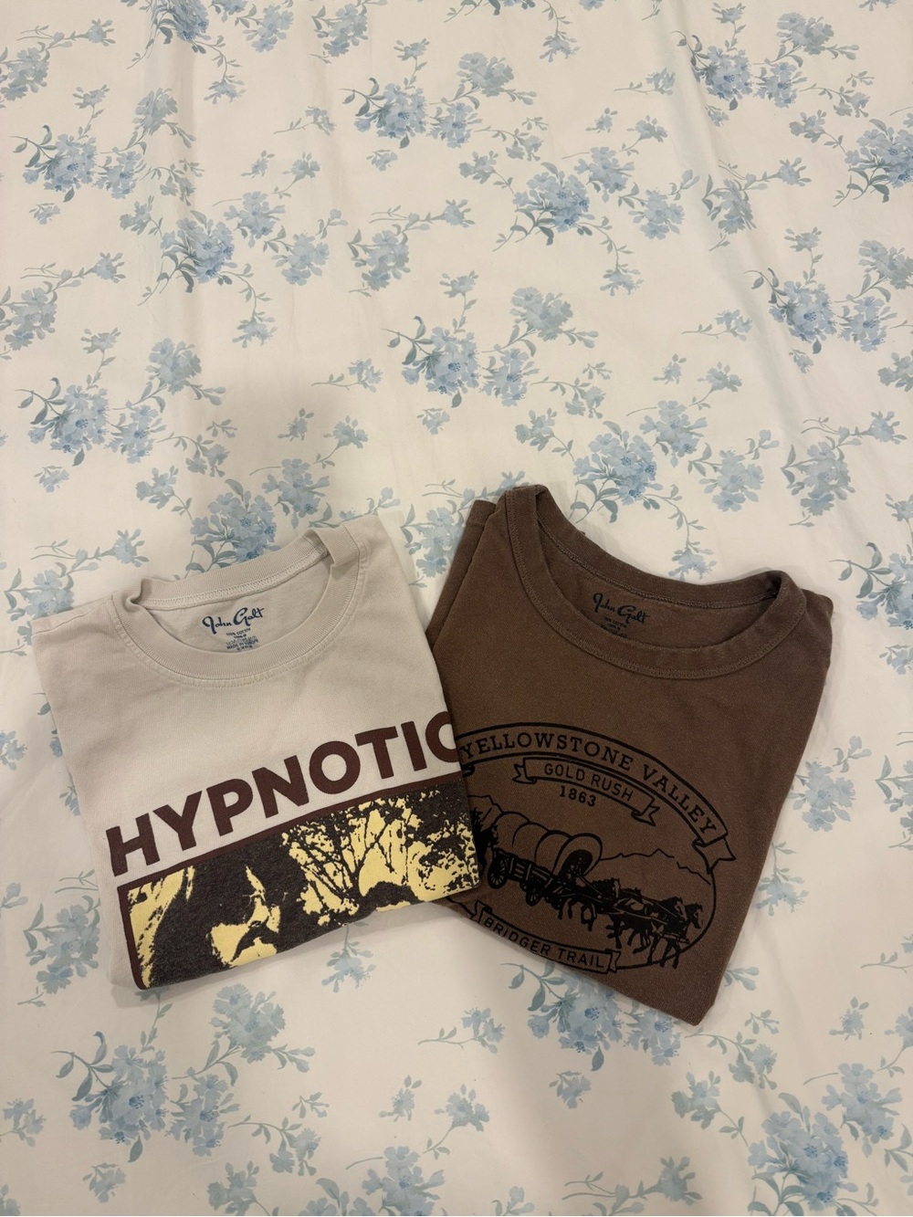 Brandy Melville Shirt Bundle!!!! Hypnotic Cream & Yellowstone Brown Graphic Tees